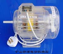 礦用防爆電動(dòng)機(jī)模